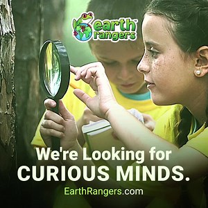 Get the FREE Earth Rangers app and turn eco-fun into action for our planet. | Earth Rangers | Facebook