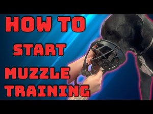 Muzzle Training 101: How to Make it Positive for Your Dog!