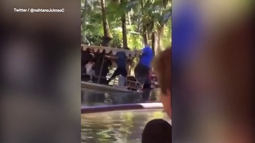 Moment Walt Disney World's Jungle Cruise riverboat sinks mid-ride