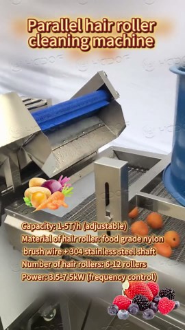 Efficient Cleaning Techniques for Fruits from Apple to Mango