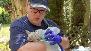 9K views · 29 reactions | Charlotte Fire Department, Charlotte NC on Reels | Facebook