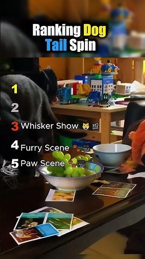 Ranking Dog Tail Spin 🤣🐶 Spinning Dogs || #dogshorts #funnydogs ‪@PawPals3‬