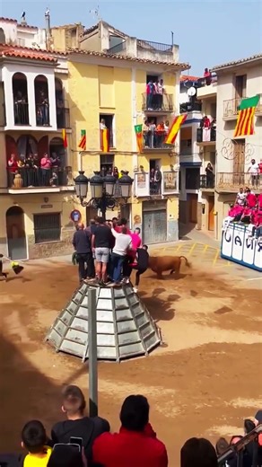 MAGNITUD PURA! La salida más real de un Toro Cerril #toros #taurino