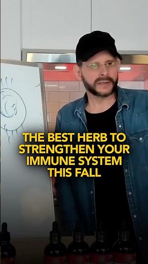 Top Herb To Strengthen Your Immune System This Fall
