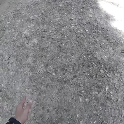 Best Animatronic: Foxy Edit