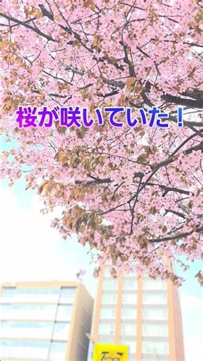 東京キモノショーがの終わり、翌日黄綬褒章受賞の🏅職人さんの工房で島屋オリジナルの商品を染めるYoutubeの撮影をして昨夜の深夜に帰札しました。⁡⁡#島屋呉服店 #島屋コーデ