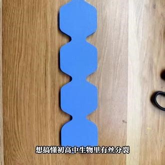 生物细胞分裂模型，学习好帮手 展示生物细胞分裂模型，直观呈现过程，助你轻松学细胞增殖知识。