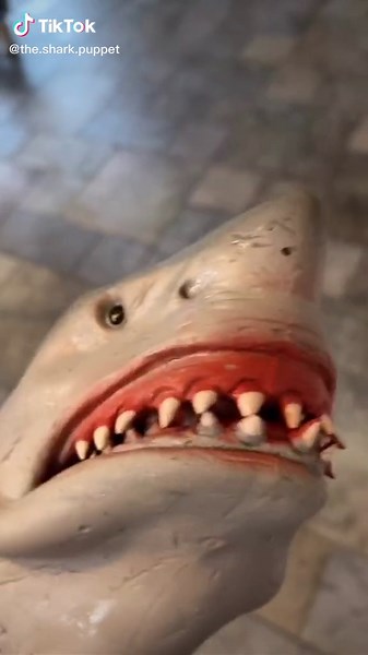 FREE SHARK PUPPET #foryou #foryoupage #mugshot