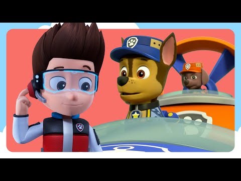 Sea Patrol + Mission Paw, and MORE! | PAW Patrol Compilation | Cartoons for Kids