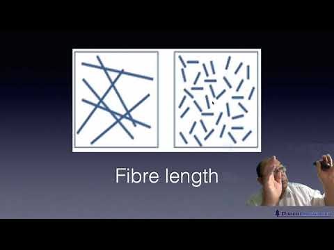 Level 2 Papermaking - Fibre structure