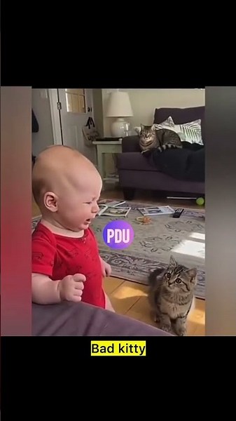 “Bad Kitty I’m Telling Mama” #youtubeshorts #viral #trending