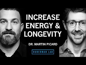 Improve Energy & Longevity by Optimizing Mitochondria | Dr. Martin Picard