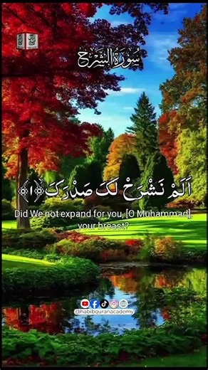 أَلَمْ نَشْرَحْ لَكَ صَدْرَكَ 🤍 | Allah Opens Your Heart | Surah Ash-Sharh #shorts