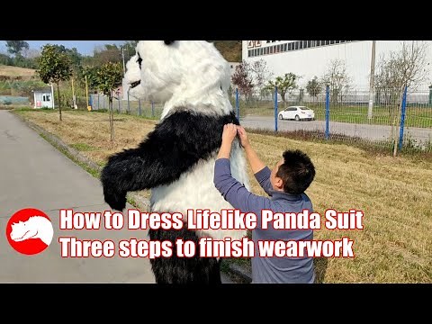 How to Dress Lifelike Panda Suit (Animal Costume)