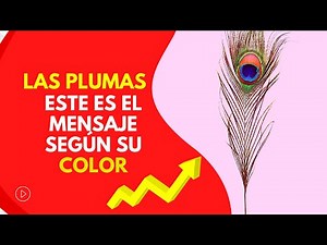💫MEANING OF FEATHERS ACCORDING TO THEIR COLOR / Message and meaning of the color of the feather #...