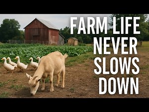 How We Juggle Everything on a Hobby Farm – Animals, Garden, House, and Life