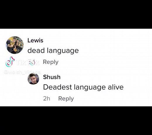 Welsh Language Comedy and Memes | Funny Videos from Wales