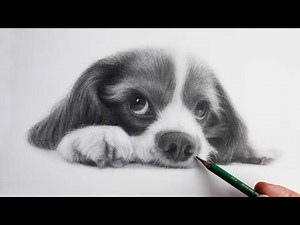 Realistic Dog Shading with Charcoal Pencils | Time-lapse Tutorial