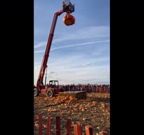 Giant pumpkin explodes at Cherry Crest Farm in Pennsylvania, USA