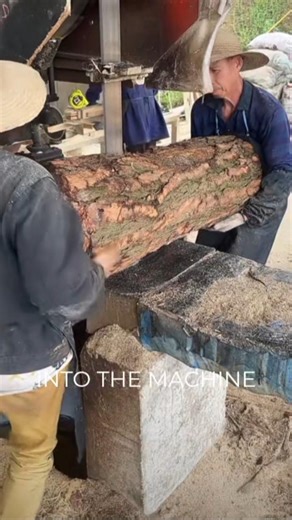 “How Do They Turn a Tree Into Perfect Lumber?”