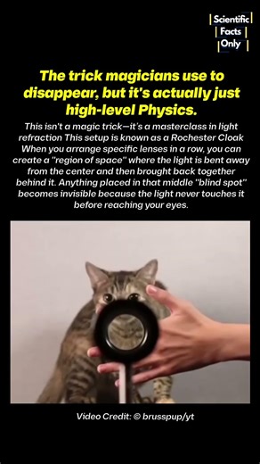 WATCH : The Science behind invisibility Cloak 🤯🤌🏻#physicsfacts #science #experiment #physics