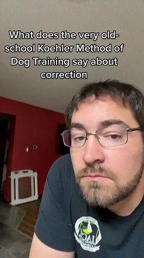 Koehler Dog Training Insights from Tony Anchetta