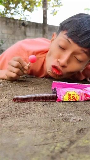 Survival Skills: SMART idea andUSEFUL#bushcraft#camping#outdoors#sur vival