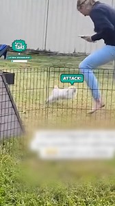 Never seen someone get chased by a rabbit 😂 | Furry Tails