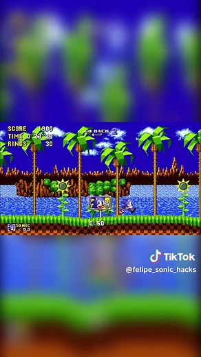 Sonic 1 Escape Zone Challenge
