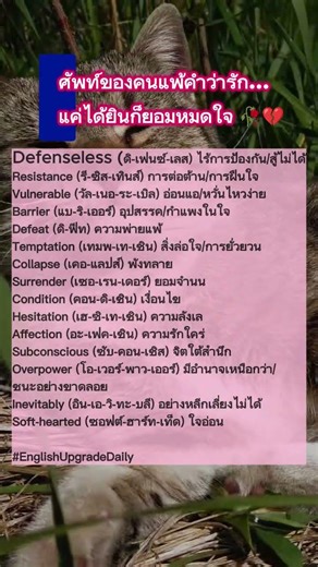 ศัพท์ของคนแพ้คำว่ารัก…แค่ได้ยินก็ยอมหมดใจ 🥀💔