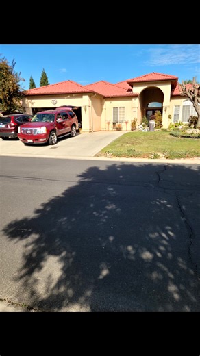 Elizabeth S. Powell on Reels