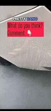 Pt 3- Pro Detailer Applies ‪@turtlewax‬ Pure Bead & Reviews- Can It Make It To 100 Washes??