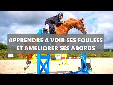 Show jumping training: The right canter, seeing your strides, improving your approaches [horse ri...
