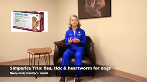18 reactions |  Flea and Tick Meds for Dogs and Cats  The universe of flea and tick meds for dogs and cats is vast and confusing. There are flea-only, flea-and-tick, and flea-and-heartworm options (with one new product that covers all three!). Nancy of Grady Veterinary Hospital is here to explain the various flea and tick meds for dogs and cats, and which may be best for your pet. | Grady Vet | Facebook