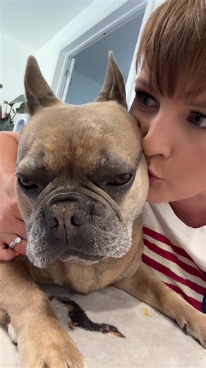 Embrace Daily Life in the UK This Summer