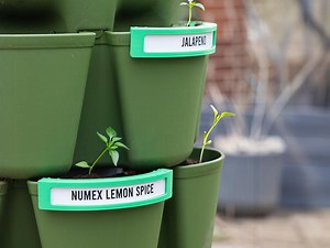 Greenstalk Plant Labels: 3D Printed Clip-on Tags for Vertical Garden - Etsy