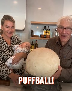 7.1M views · 7.5K reactions | But will she like the giant puffball mushroom steaks? 樂 | FOODbible | Facebook