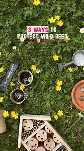 42 reactions |  Planting bee-friendly flowers, creating a watering point and providing shelter: 3 simple ways to help wild bees  You too can help to preserve pollinating insects by doing these things at home: in your garden, on your balcony, or even in your city! | Pink Lady Europe | Facebook