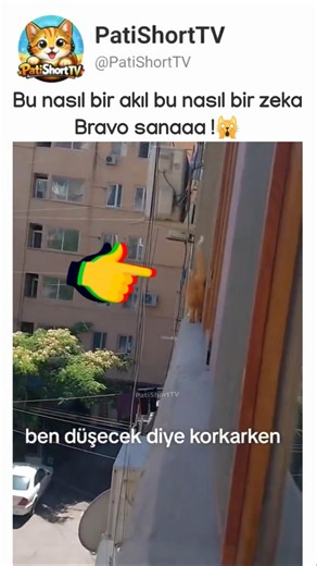 Gerilim filmi gibi ama o çözmüş işi !