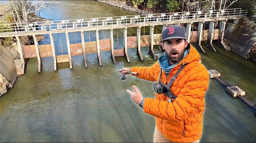 Draining lake floods completely, leaving uncertain survivors behind