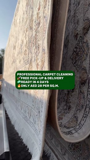 🧼Professional Carpet Cleaning | Carpet Pro
