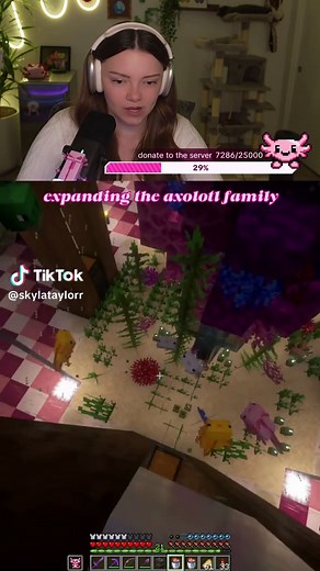 Exploring the Big Axolotl Family in Minecraft