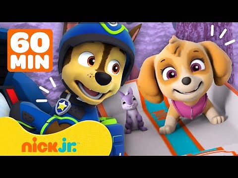 PAW Patrol | PAW Patrol retten ihre Freunde! | 60 Minuten Compilation | Nick Jr. Deutschland
