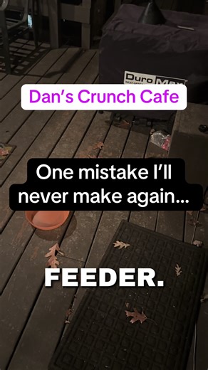 Daily Care Routine for My Raccoon Friend Dan