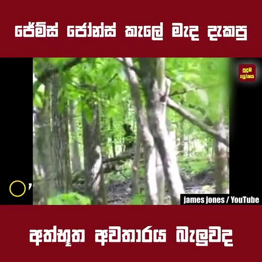 Puduma_Lokaya on TikTok