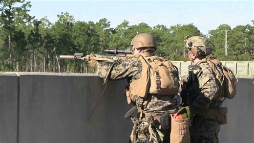 U.S. Marines Demonstrate Combat Proficiency During Live Fire Range