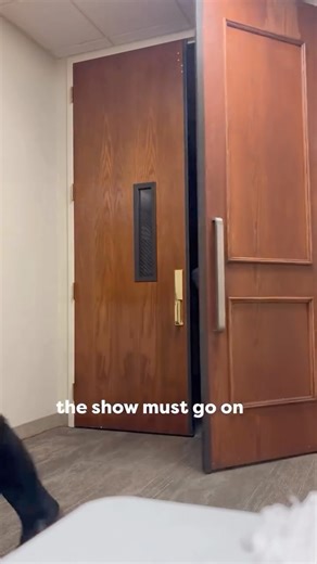 Bellevue Music on Instagram: "Have you seen the Singing Christmas Tree yet?? Two more performances on Sunday at 2:30 and 6:00! We hope to see you there!"