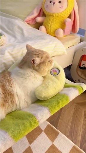 ベッド横にぴったり🐱ふんわり猫ベッド#猫ベッド #猫ハウス #catshorts #猫のいる暮らし