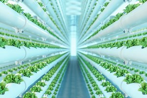 EXATEC mexicanos apuestan a la agricultura vertical para erradicar el hambre