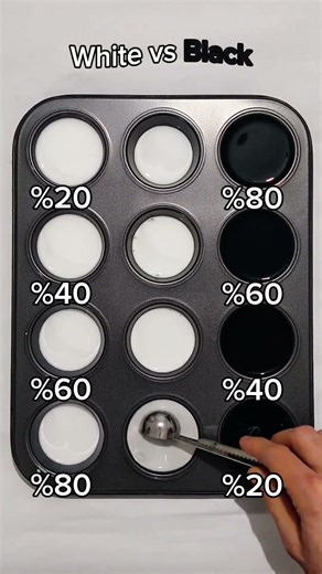 What Happens When White Meets Black? 🤔⚪⚫